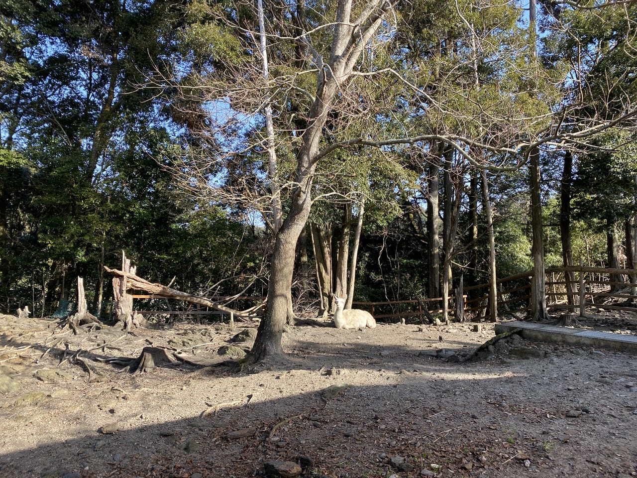 長崎バイオパークの様子