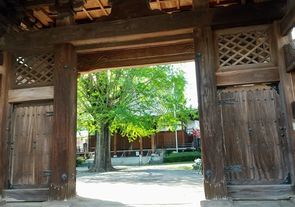 2023年4月向陽山光永寺